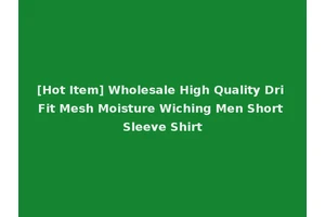 [Hot Item] Wholesale High Quality Dri Fit Mesh Moisture Wiching Men Short Sleeve Shirt