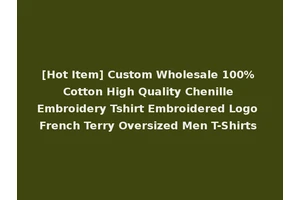[Hot Item] Custom Wholesale 100% Cotton High Quality Chenille Embroidery Tshirt Embroidered Logo French Terry Oversized Men T-Shirts