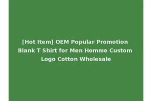 [Hot Item] OEM Popular Promotion Blank T Shirt for Men Homme Custom Logo Cotton Wholesale