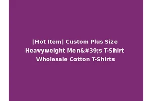 [Hot Item] Custom Plus Size Heavyweight Men's T-Shirt Wholesale Cotton T-Shirts