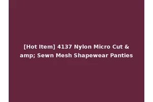[Hot Item] 4137 Nylon Micro Cut &amp; Sewn Mesh Shapewear Panties