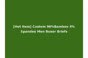 [Hot Item] Custom 96%Bamboo 4%Spandex Men Boxer Briefs