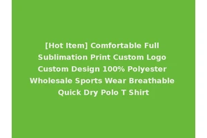 [Hot Item] Comfortable Full Sublimation Print Custom Logo Custom Design 100% Polyester Wholesale Sports Wear Breathable Quick Dry Polo T Shirt