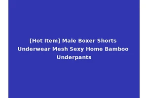 [Hot Item] Male Boxer Shorts Underwear Mesh Sexy Home Bamboo Underpants