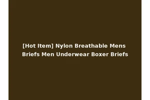 [Hot Item] Nylon Breathable Mens Briefs Men Underwear Boxer Briefs