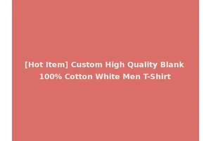 [Hot Item] Custom High Quality Blank 100% Cotton White Men T-Shirt