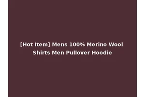 [Hot Item] Mens 100% Merino Wool Shirts Men Pullover Hoodie