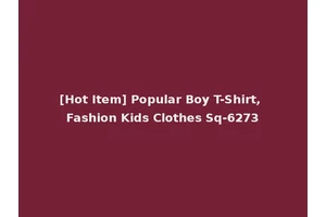 [Hot Item] Popular Boy T-Shirt, Fashion Kids Clothes Sq-6273