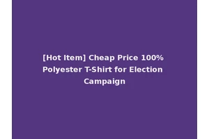 [Hot Item] Cheap Price 100% Polyester T-Shirt for Election Campaign