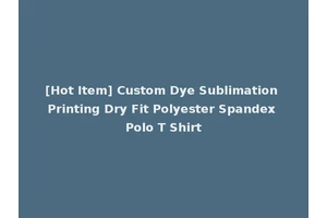 [Hot Item] Custom Dye Sublimation Printing Dry Fit Polyester Spandex Polo T Shirt