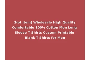 [Hot Item] Wholesale High Quality Comfortable 100% Cotton Men Long Sleeve T Shirts Custom Printable Blank T Shirts for Men
