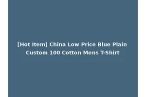 [Hot Item] China Low Price Blue Plain Custom 100 Cotton Mens T-Shirt