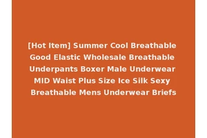 [Hot Item] Summer Cool Breathable Good Elastic Wholesale Breathable Underpants Boxer Male Underwear MID Waist Plus Size Ice Silk Sexy Breathable Mens Underwear Briefs