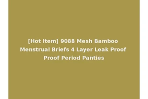 [Hot Item] 9088 Mesh Bamboo Menstrual Briefs 4 Layer Leak Proof Proof Period Panties