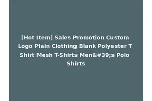 [Hot Item] Sales Promotion Custom Logo Plain Clothing Blank Polyester T Shirt Mesh T-Shirts Men's Polo Shirts