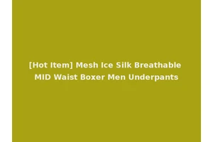 [Hot Item] Mesh Ice Silk Breathable MID Waist Boxer Men Underpants