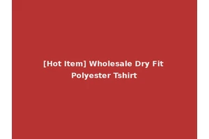 [Hot Item] Wholesale Dry Fit Polyester Tshirt