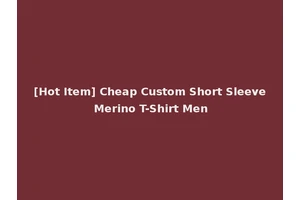 [Hot Item] Cheap Custom Short Sleeve Merino T-Shirt Men