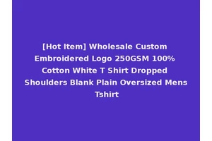[Hot Item] Wholesale Custom Embroidered Logo 250GSM 100% Cotton White T Shirt Dropped Shoulders Blank Plain Oversized Mens Tshirt