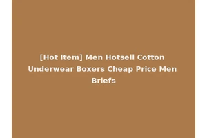 [Hot Item] Men Hotsell Cotton Underwear Boxers Cheap Price Men Briefs