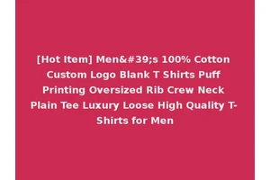 [Hot Item] Men's 100% Cotton Custom Logo Blank T Shirts Puff Printing Oversized Rib Crew Neck Plain Tee Luxury Loose High Quality T-Shirts for Men