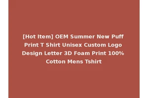 [Hot Item] OEM Summer New Puff Print T Shirt Unisex Custom Logo Design Letter 3D Foam Print 100% Cotton Mens Tshirt