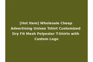 [Hot Item] Wholesale Cheap Advertising Unisex Tshirt Customized Dry Fit Mesh Polyester T-Shirts with Custom Logo