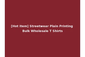 [Hot Item] Streetwear Plain Printing Bulk Wholesale T Shirts