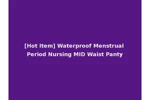 [Hot Item] Waterproof Menstrual Period Nursing MID Waist Panty