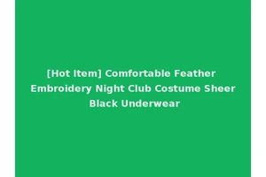 [Hot Item] Comfortable Feather Embroidery Night Club Costume Sheer Black Underwear