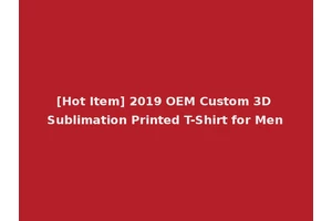 [Hot Item] 2019 OEM Custom 3D Sublimation Printed T-Shirt for Men