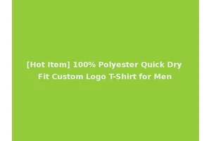[Hot Item] 100% Polyester Quick Dry Fit Custom Logo T-Shirt for Men