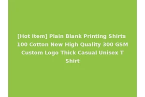 [Hot Item] Plain Blank Printing Shirts 100 Cotton New High Quality 300 GSM Custom Logo Thick Casual Unisex T Shirt