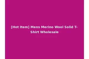 [Hot Item] Mens Merino Wool Solid T-Shirt Wholesale
