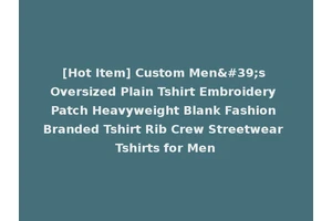 [Hot Item] Custom Men's Oversized Plain Tshirt Embroidery Patch Heavyweight Blank Fashion Branded Tshirt Rib Crew Streetwear Tshirts for Men