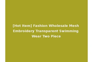 [Hot Item] Fashion Wholesale Mesh Embroidery Transparent Swimming Wear Two Piece