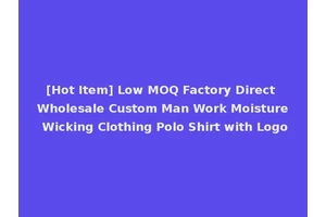 [Hot Item] Low MOQ Factory Direct Wholesale Custom Man Work Moisture Wicking Clothing Polo Shirt with Logo