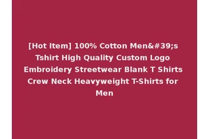 [Hot Item] 100% Cotton Men's Tshirt High Quality Custom Logo Embroidery Streetwear Blank T Shirts Crew Neck Heavyweight T-Shirts for Men