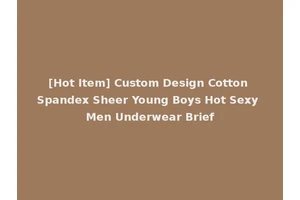 [Hot Item] Custom Design Cotton Spandex Sheer Young Boys Hot Sexy Men Underwear Brief