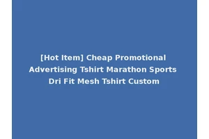 [Hot Item] Cheap Promotional Advertising Tshirt Marathon Sports Dri Fit Mesh Tshirt Custom