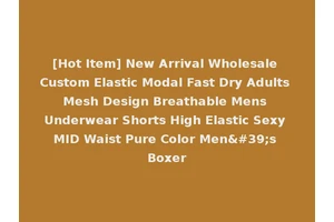 [Hot Item] New Arrival Wholesale Custom Elastic Modal Fast Dry Adults Mesh Design Breathable Mens Underwear Shorts High Elastic Sexy MID Waist Pure Color Men's Boxer