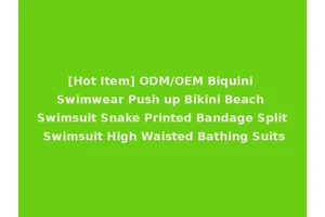 [Hot Item] ODM/OEM Biquini Swimwear Push up Bikini Beach Swimsuit Snake Printed Bandage Split Swimsuit High Waisted Bathing Suits