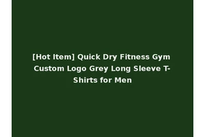 [Hot Item] Quick Dry Fitness Gym Custom Logo Grey Long Sleeve T-Shirts for Men