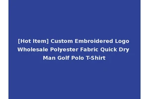 [Hot Item] Custom Embroidered Logo Wholesale Polyester Fabric Quick Dry Man Golf Polo T-Shirt