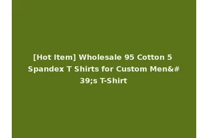 [Hot Item] Wholesale 95 Cotton 5 Spandex T Shirts for Custom Men's T-Shirt