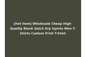 [Hot Item] Wholesale Cheap High Quality Blank Quick Dry Sports Men T-Shirts Custom Print T-Shirt