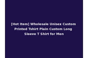 [Hot Item] Wholesale Unisex Custom Printed Tshirt Plain Custom Long Sleeve T Shirt for Men