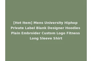 [Hot Item] Mens University Hiphop Private Label Blank Designer Hoodies Plain Embroider Custom Logo Fitness Long Sleeve Shirt