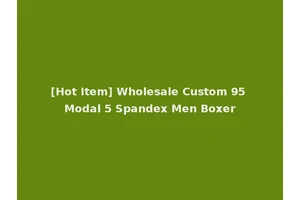 [Hot Item] Wholesale Custom 95 Modal 5 Spandex Men Boxer