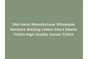 [Hot Item] Manufacturer Wholesale Moisture Wicking Cotton Short Sleeve T-Shirt High Quality Unisex T-Shirt
